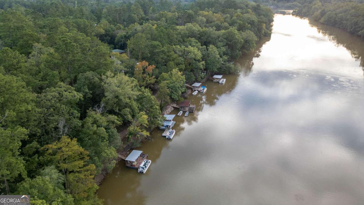1758 Easons Bluff Road Baxley, GA 31513 - Photo 8 of 50 a view of a city