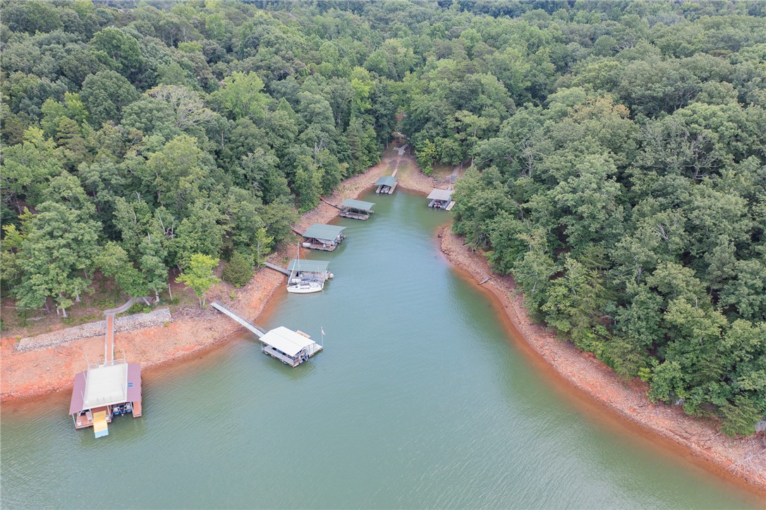 125 Inlet Pointe Drive Anderson, SC 29625 - Photo 4 of 39 Discover serene lakefront living with multiple private boat docks nestled among lush, mature trees.