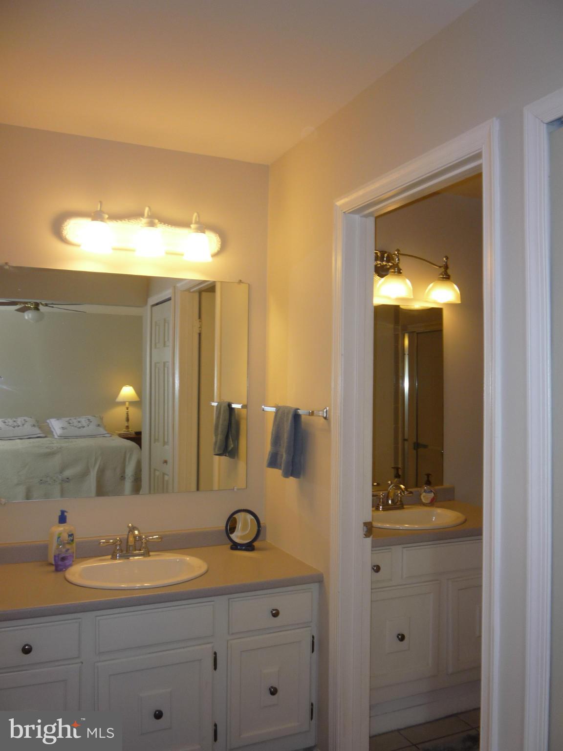 3102 Shrewsbury Lane Riva, MD 21140 - Photo 14 of 30 Bath (Master)