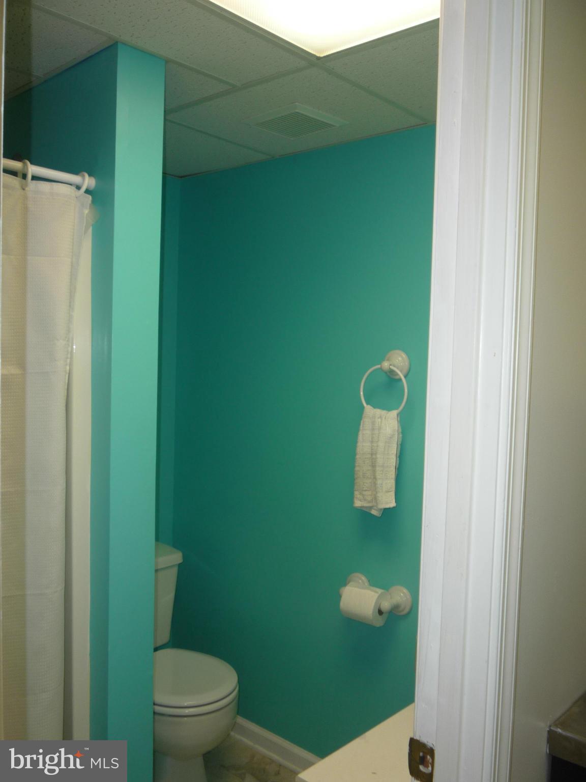 3102 Shrewsbury Lane Riva, MD 21140 - Photo 20 of 30 Bath