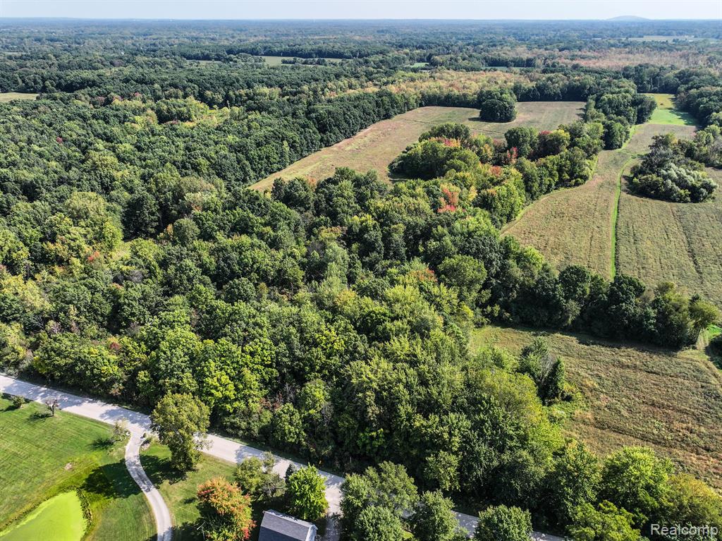 0 Nollar Road Whitmore Lake, MI 48178 - Photo 13 of 28