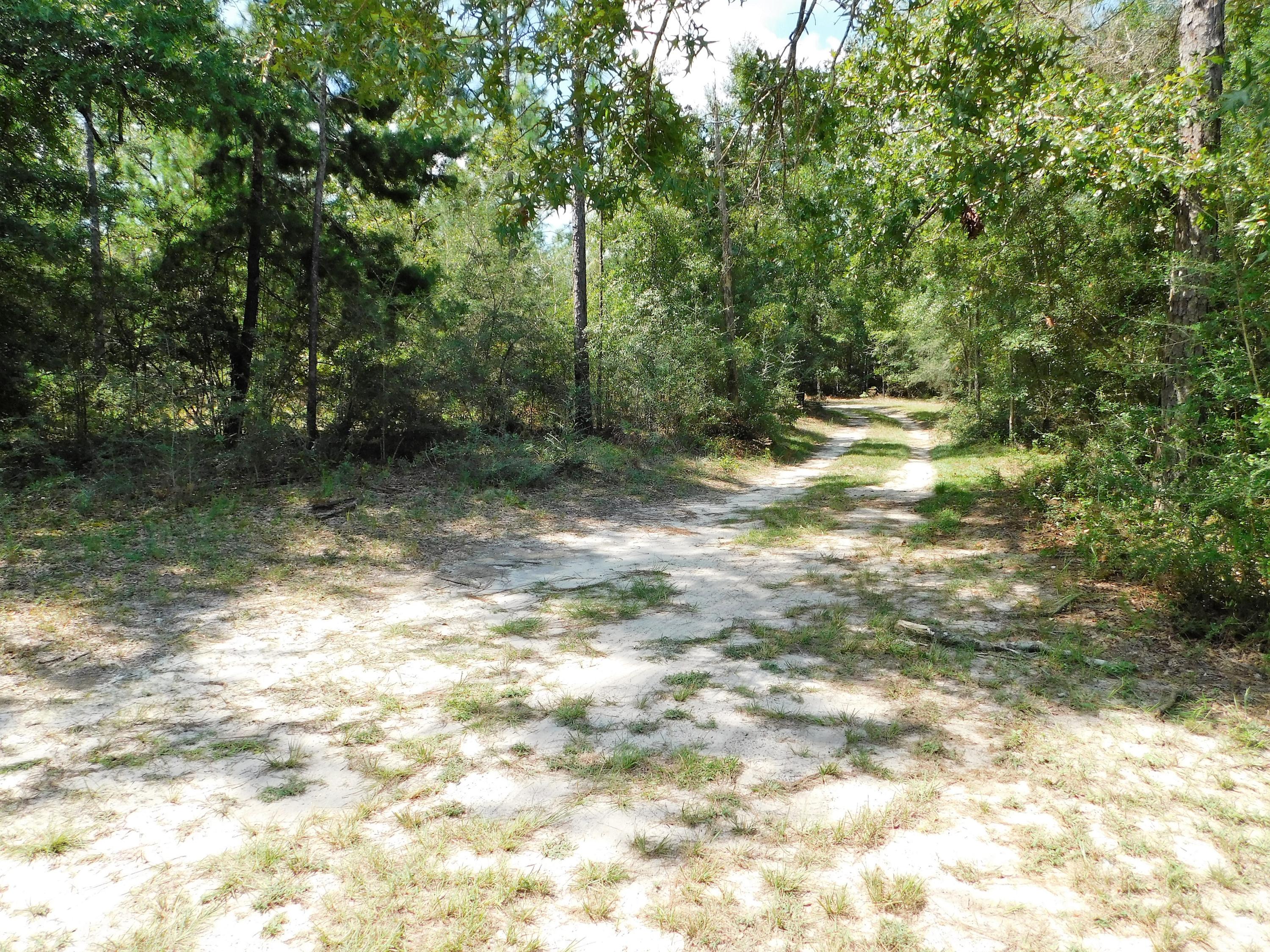3957 Bear Creek Road Crestview, FL 32539 - Photo 29 of 32 Gallery Image 29