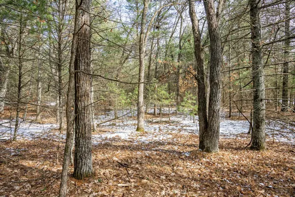 $39,900 | Lot 39 South Badger, Arkdale, WI 54613