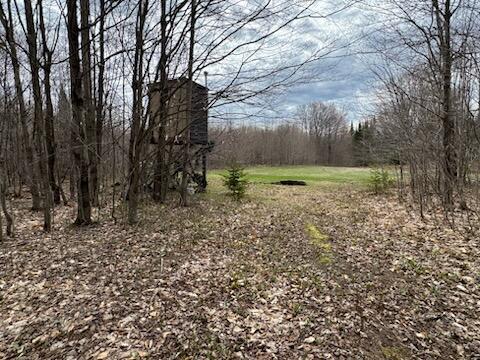 0 West Tee Lake Road Germfask, MI 49836 - Photo 1 of 29 Gallery Image 1