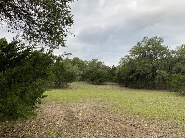 a view of a field with a trees in the background