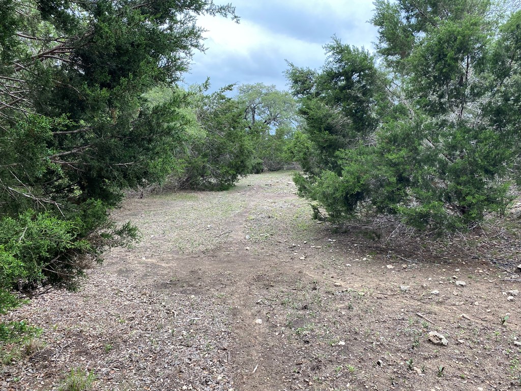 42 Rust Lane Boerne, TX 78006 - Photo 11 of 23 a view of a dirt road with trees in the background