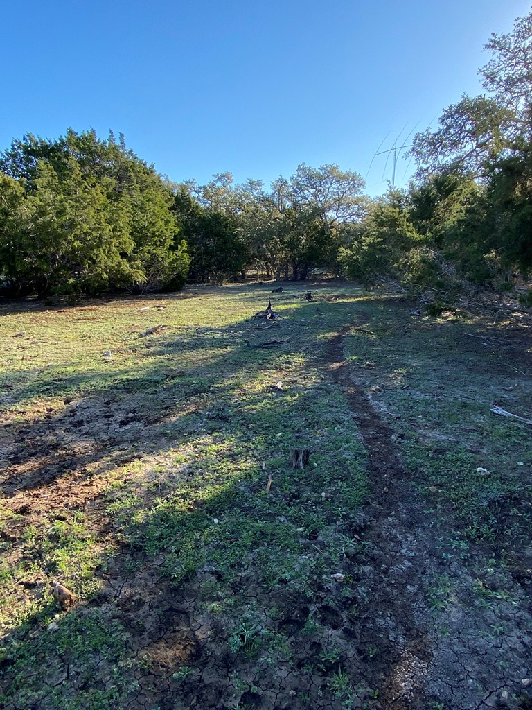 42 Rust Lane Boerne, TX 78006 - Photo 16 of 23 a view of a yard with a lake view