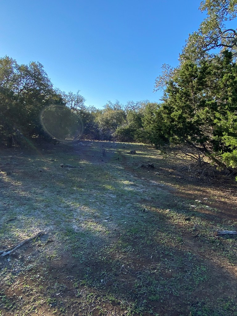 42 Rust Lane Boerne, TX 78006 - Photo 17 of 23 a view of outdoor space with trees all around