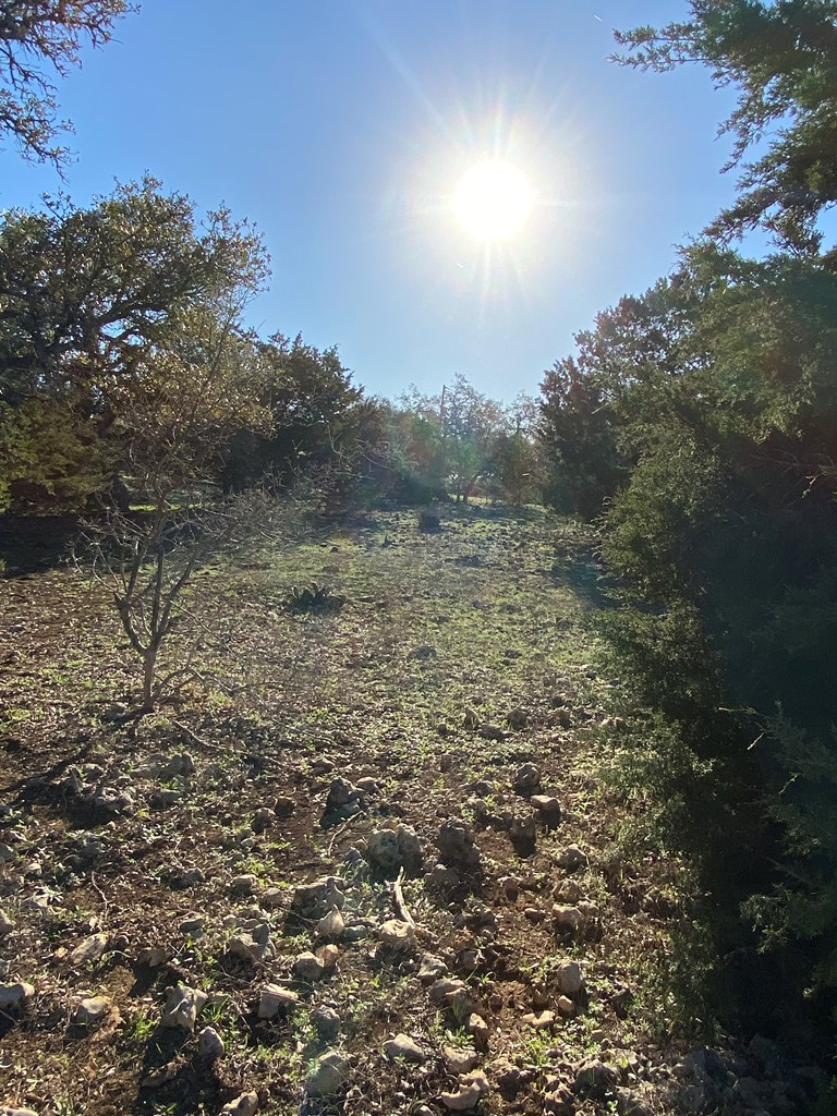 42 Rust Lane Boerne, TX 78006 - Photo 18 of 23