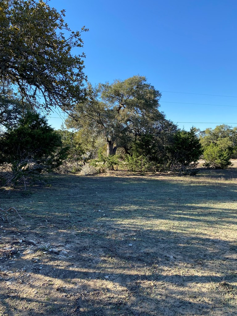 42 Rust Lane Boerne, TX 78006 - Photo 19 of 23 a view of yard