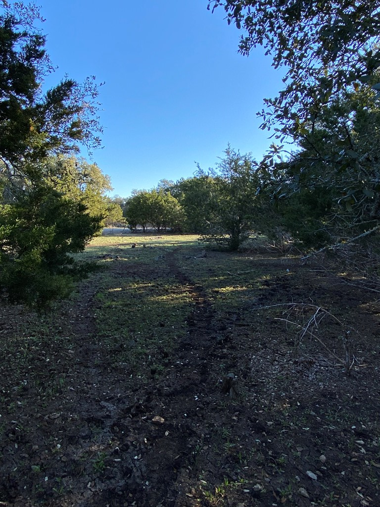 42 Rust Lane Boerne, TX 78006 - Photo 22 of 23 a view of dirt yard with green space