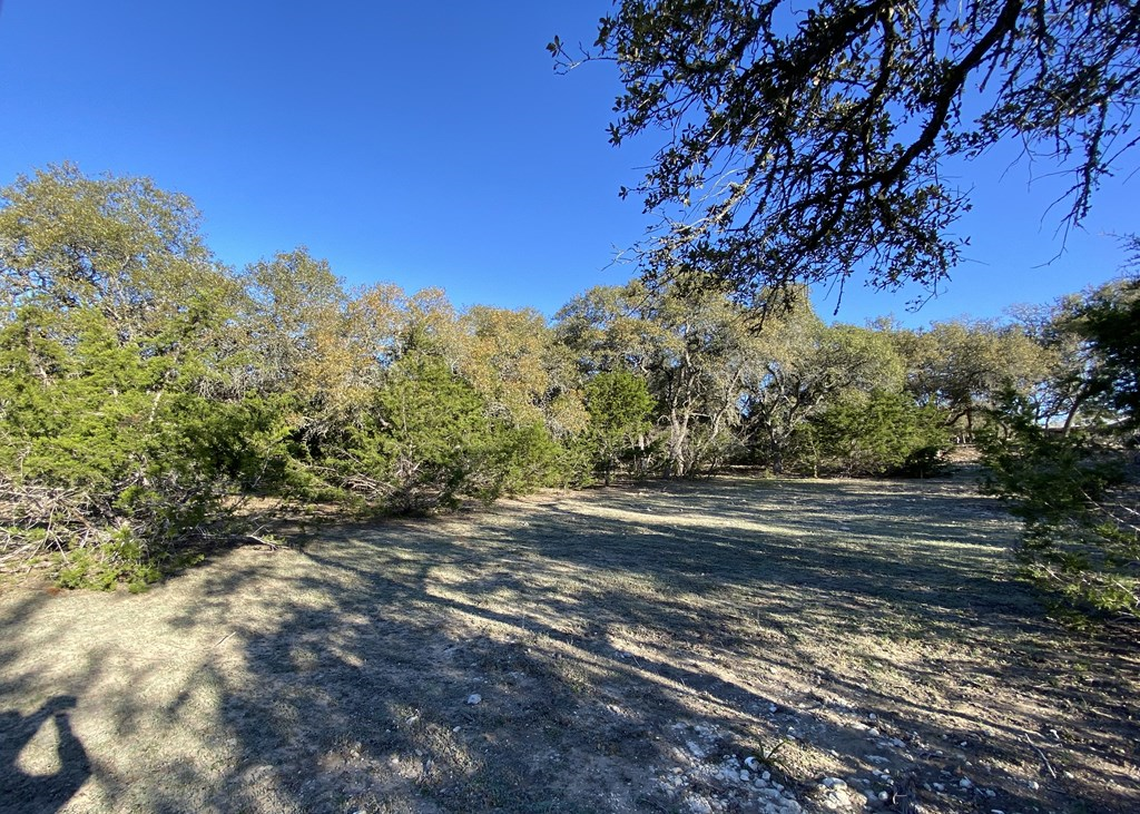 42 Rust Lane Boerne, TX 78006 - Photo 4 of 23 a view of a yard with mountain view