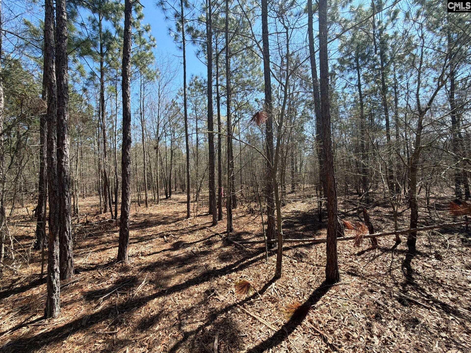 9 Boise Cascade Road, Unit BHL 9 Bethune, SC 29009 - Photo 30 of 44
