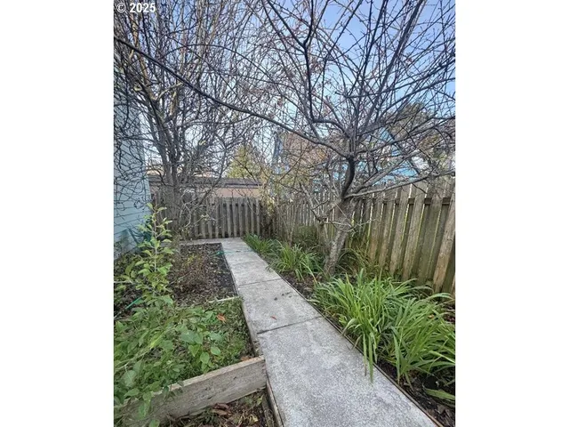 a view of a pathway in a garden