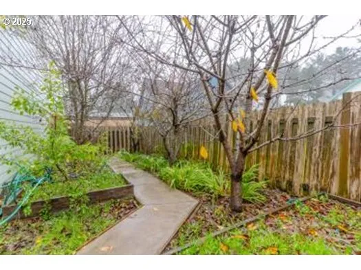 a view of a back yard