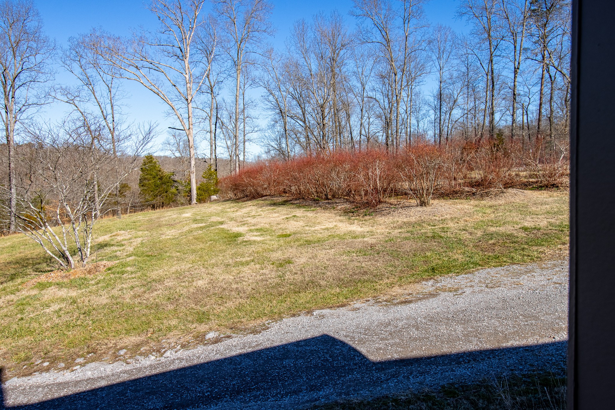 2016 Valley View Road Joelton, TN 37080 - Photo 54 of 65 a view of a yard with an outdoor space