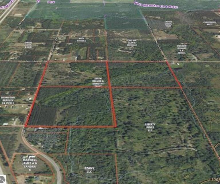 0 43 North 43 1/2 Road, Unit LOT: B Manton, MI 49663 - Photo 2 of 12