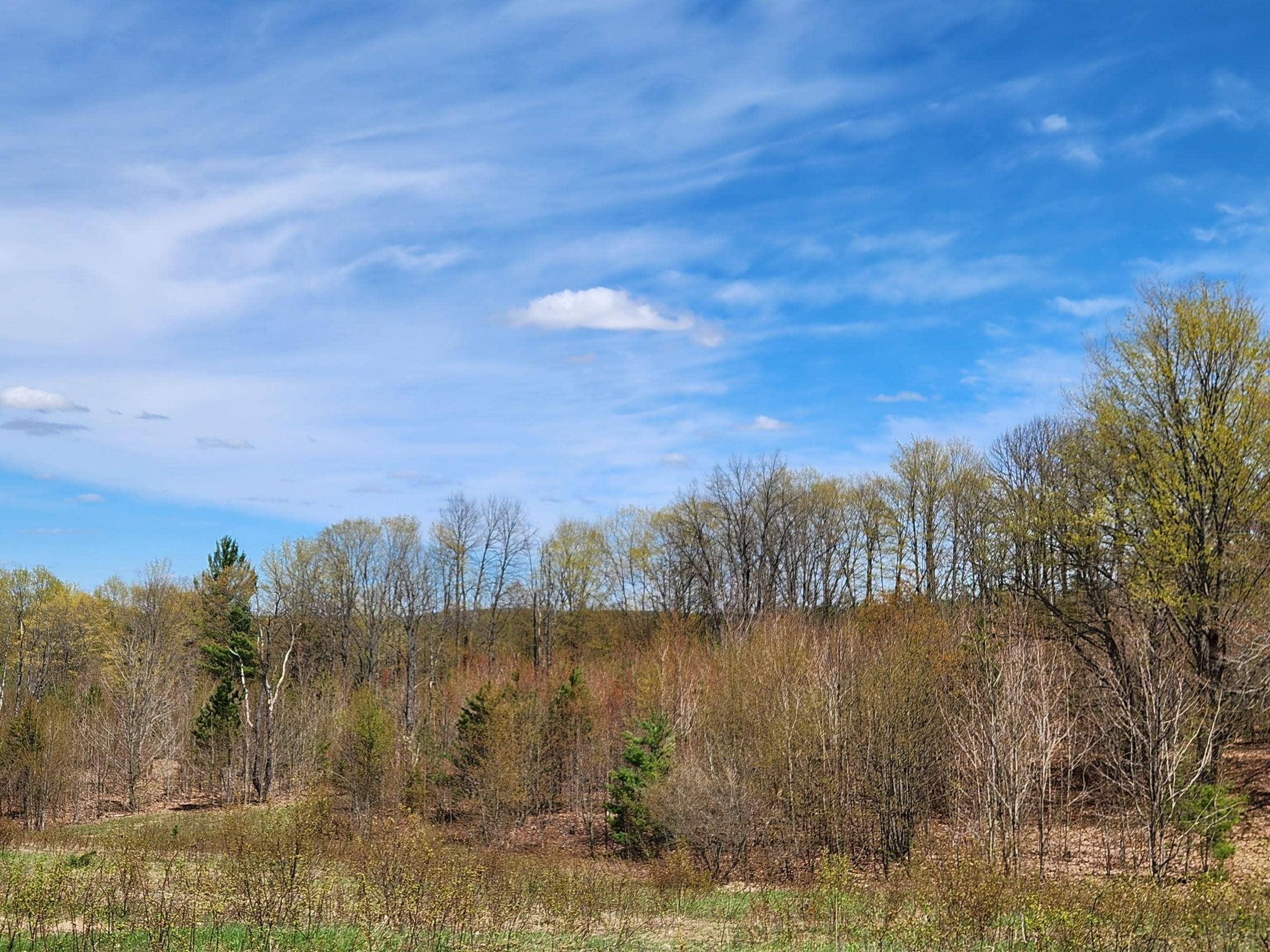 7777 Henschell Road Southwest South Boardman, MI 49680 - Photo 7 of 31
