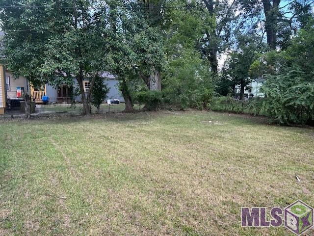 2236 Rhodes Avenue Baton Rouge, LA 70802 - Photo 4 of 7