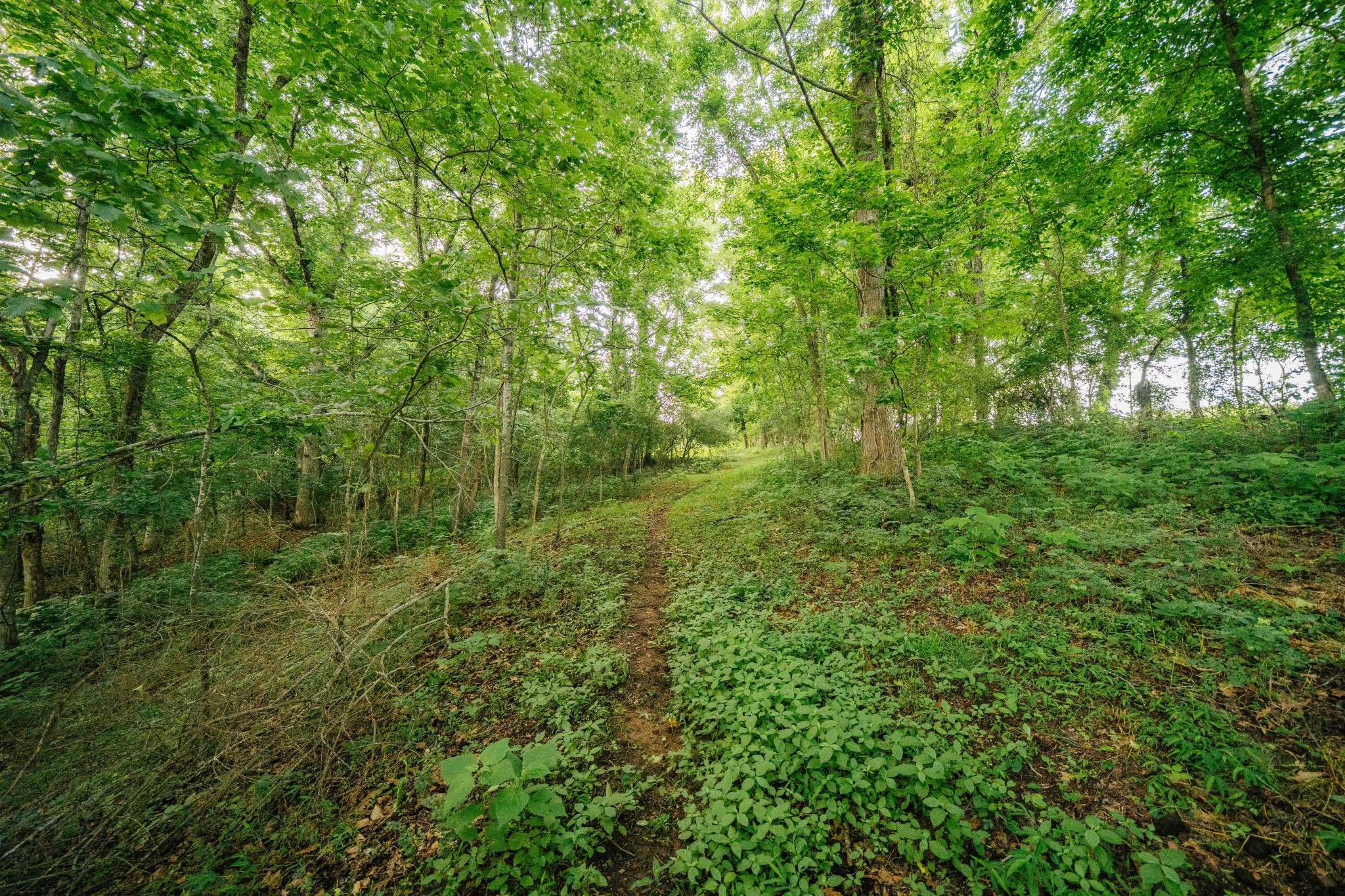 500 Case Road Prospect, TN 38477 - Photo 71 of 98
