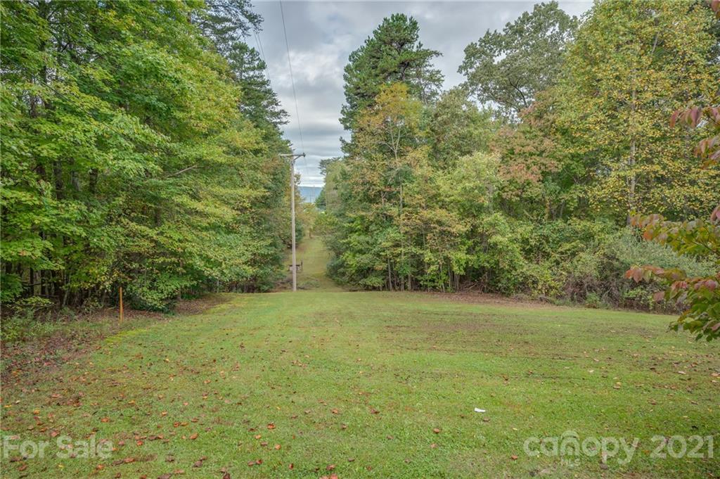 4771 Highway 9 Mill Spring, NC 28756 - Photo 3 of 35 a view of a green field with plants in front of it