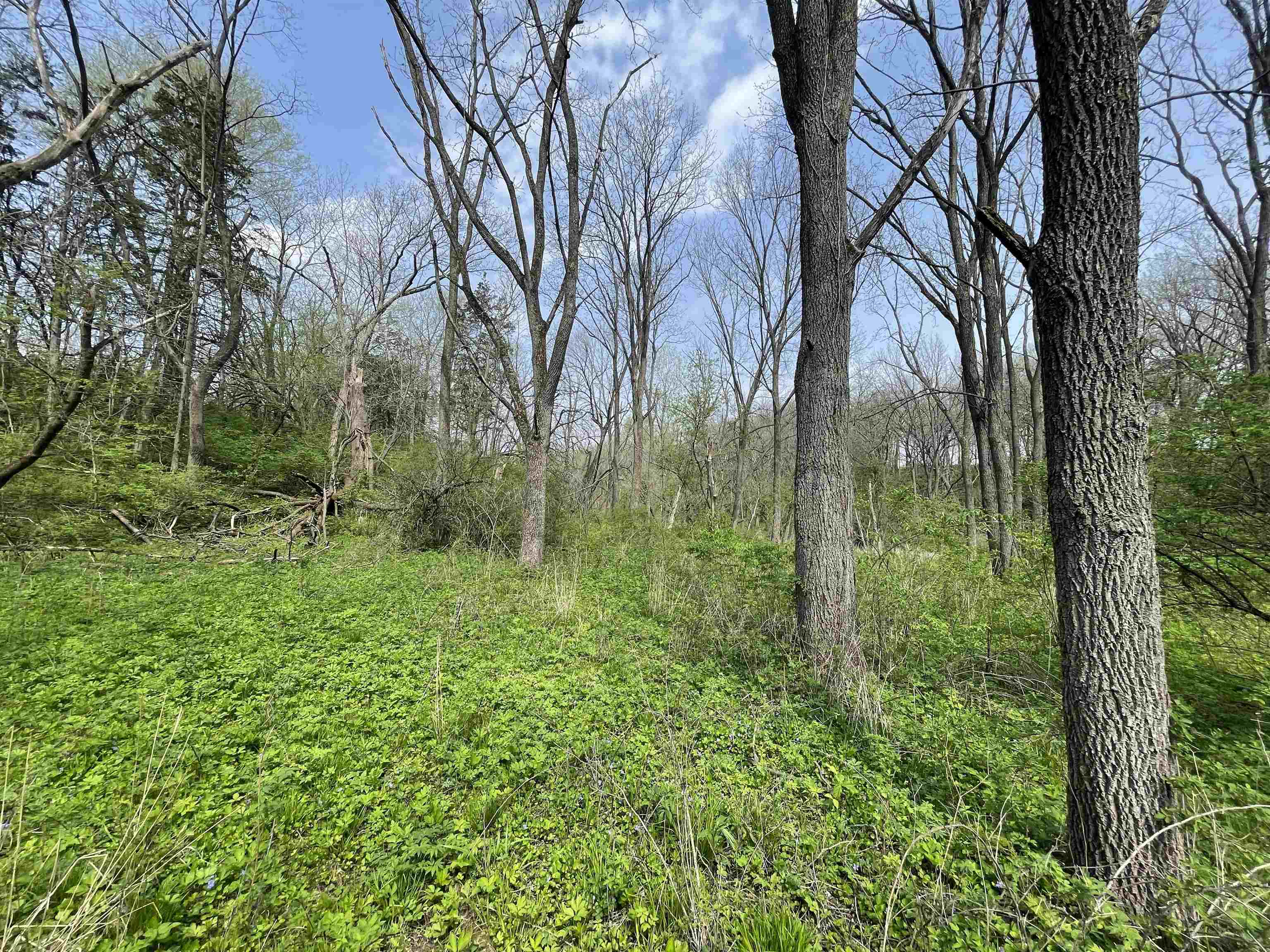 8602 West Northwest Road Forreston, IL 61030 - Photo 66 of 83 Gallery Image 66