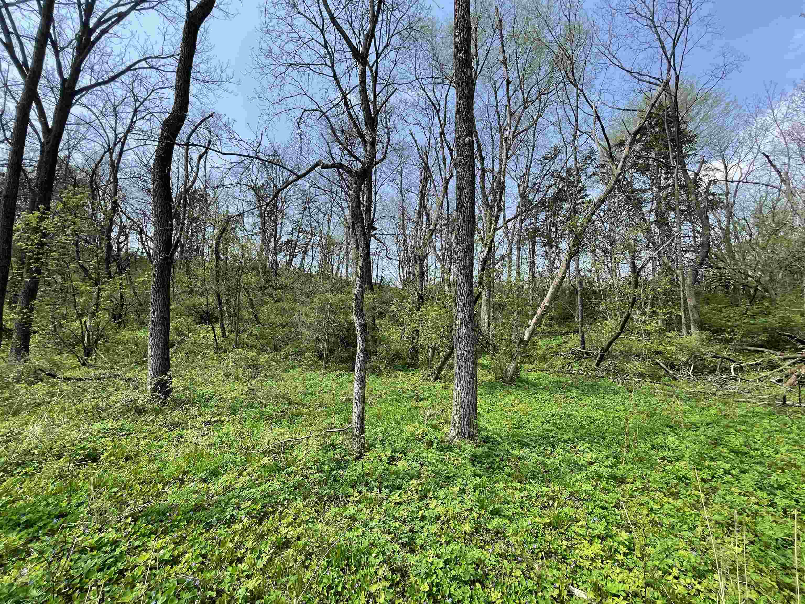8602 West Northwest Road Forreston, IL 61030 - Photo 67 of 83 Gallery Image 67