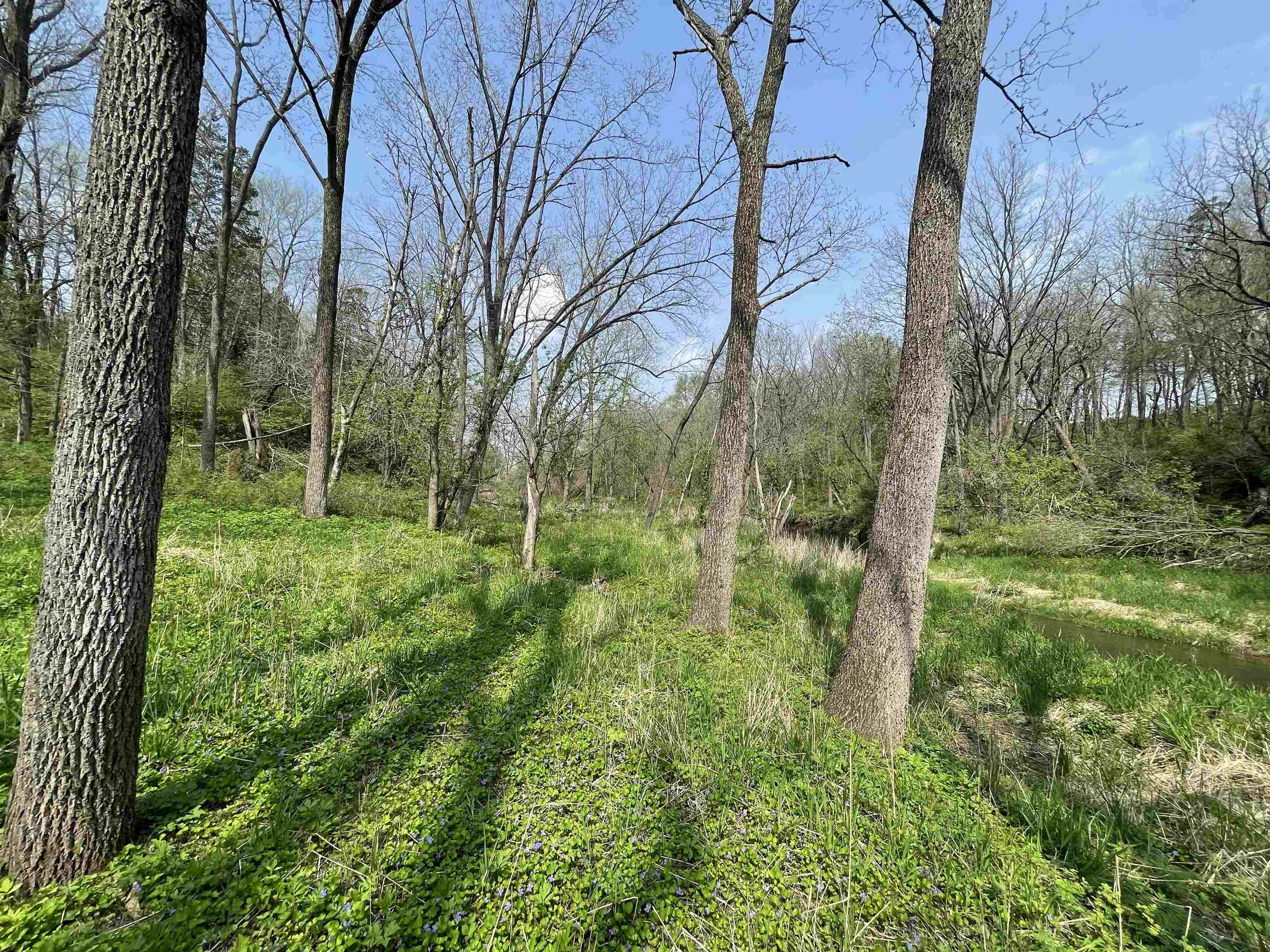 8602 West Northwest Road Forreston, IL 61030 - Photo 68 of 83 Gallery Image 68