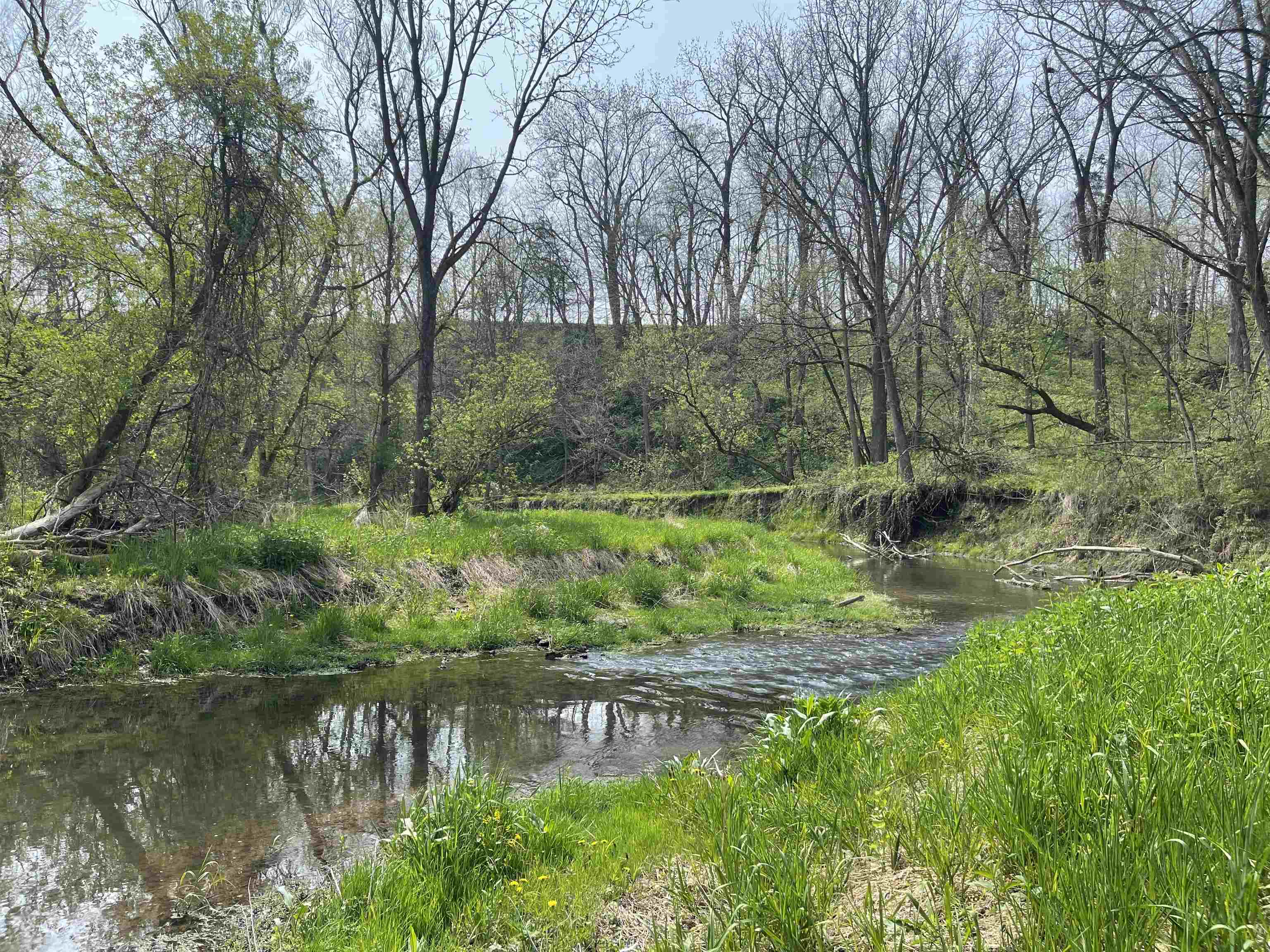 8602 West Northwest Road Forreston, IL 61030 - Photo 71 of 83 Gallery Image 71