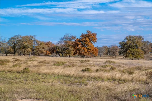 $699,000 | 847 Littlehorn Lane, La Vernia, TX 78121