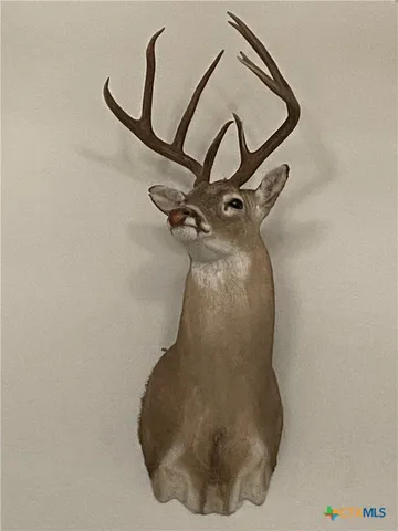 $699,000 | 847 Littlehorn Lane, La Vernia, TX 78121