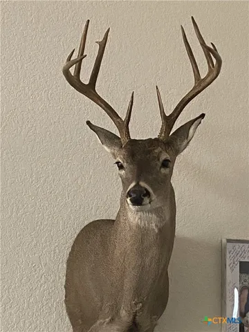 $699,000 | 847 Littlehorn Lane, La Vernia, TX 78121