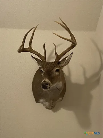 $699,000 | 847 Littlehorn Lane, La Vernia, TX 78121