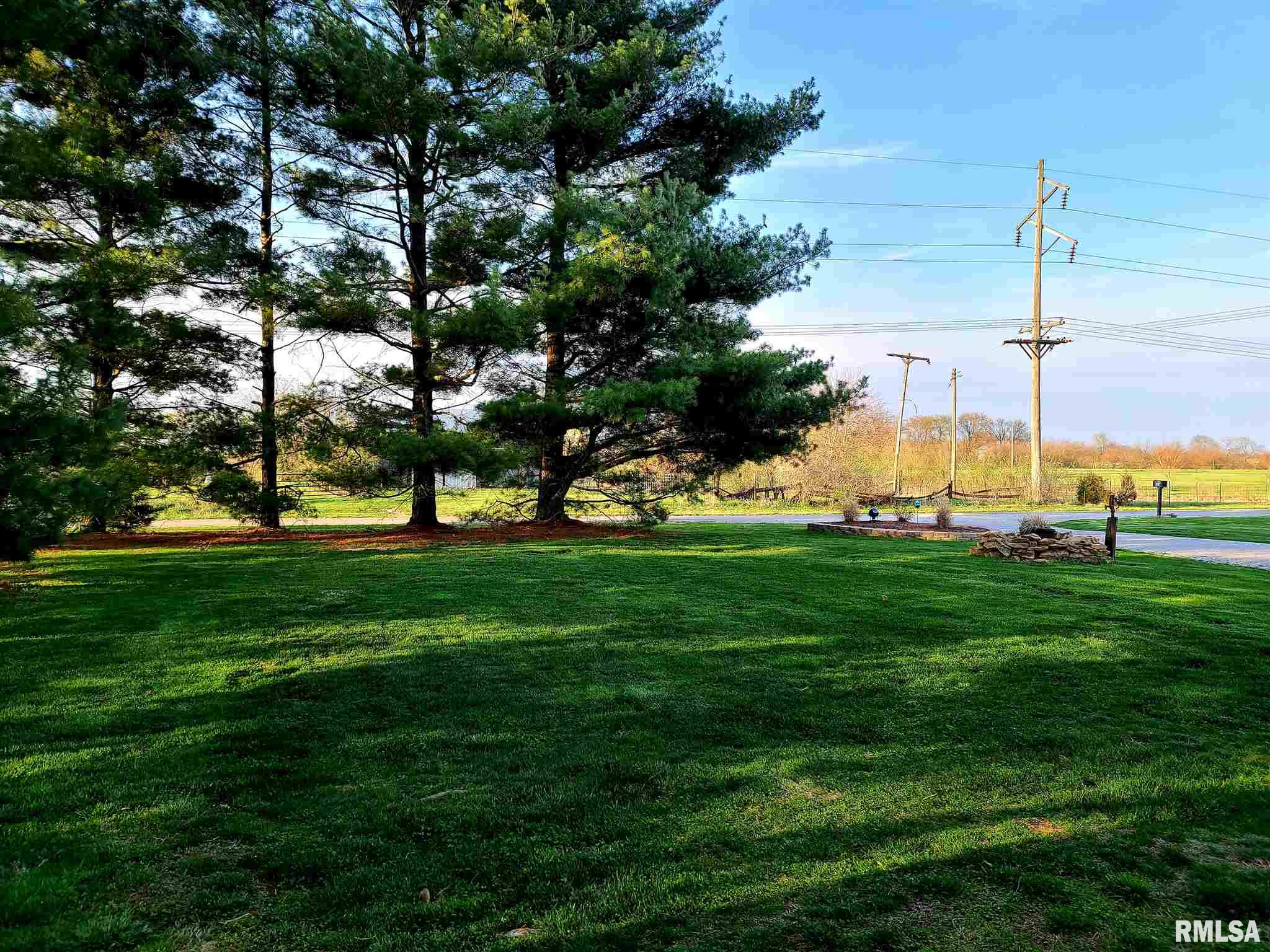 10521 Rinaker Road Carlinville, IL 62626 - Photo 11 of 47