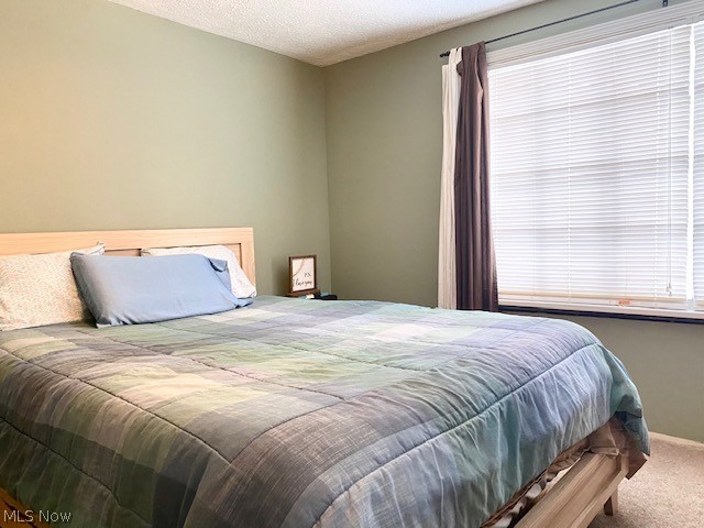 7210 North Ridge Road Madison, OH 44057 - Photo 13 of 19 Gallery Image 13