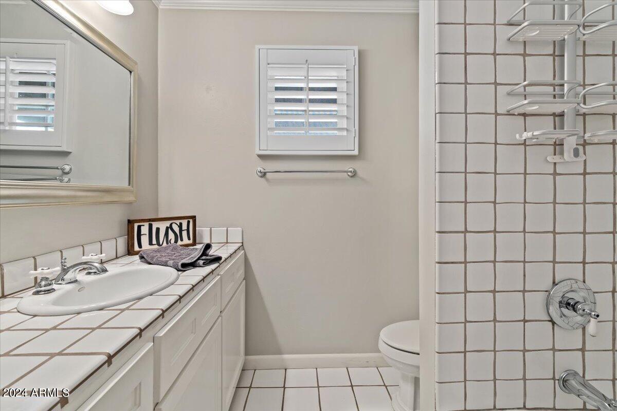 3841 East Elm Street Phoenix, AZ 85018 - Photo 39 of 72 a bathroom with a sink toilet and shower