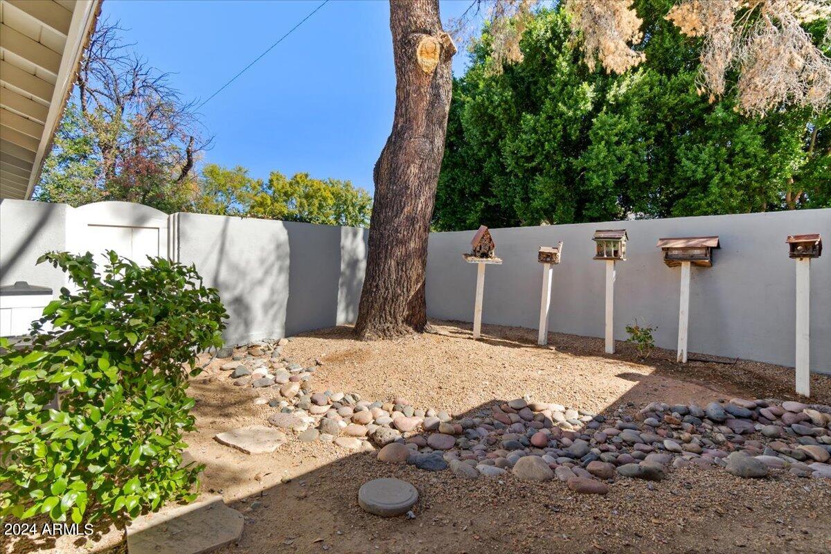 3841 East Elm Street Phoenix, AZ 85018 - Photo 64 of 72 a backyard of a house with lots of green space
