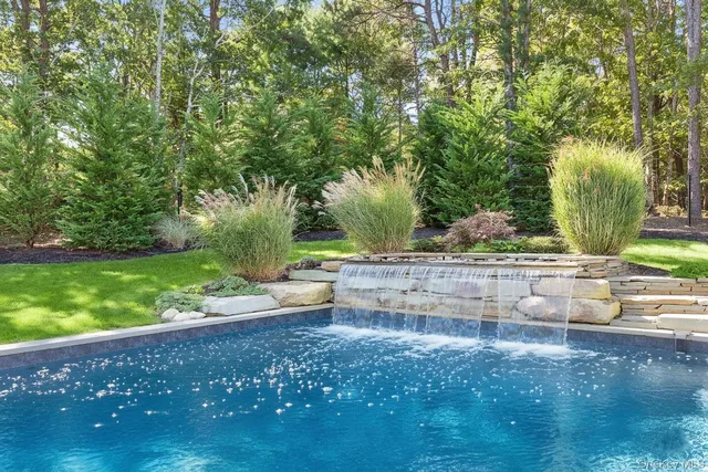a view of a yard with plants and trees