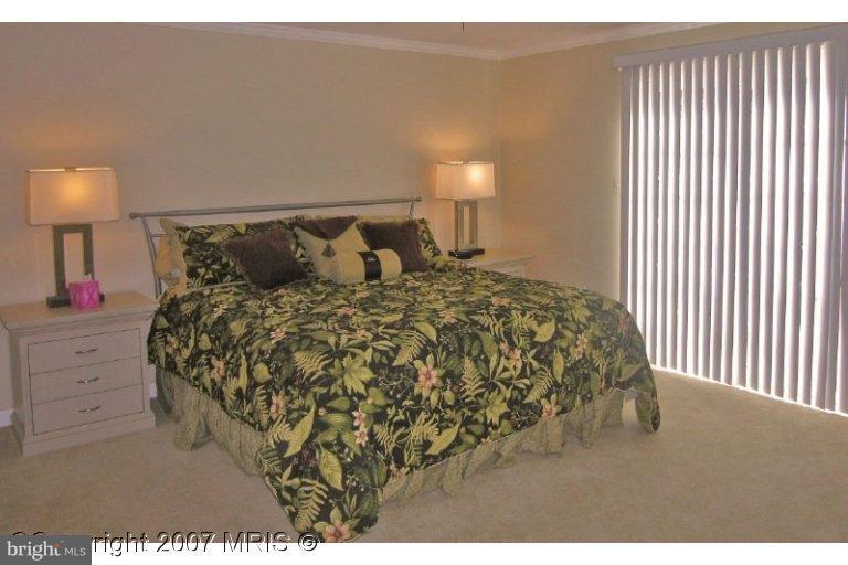 9269 Deepwater Point Road St. Michaels, MD 21663 - Photo 4 of 13 Master Bedroom