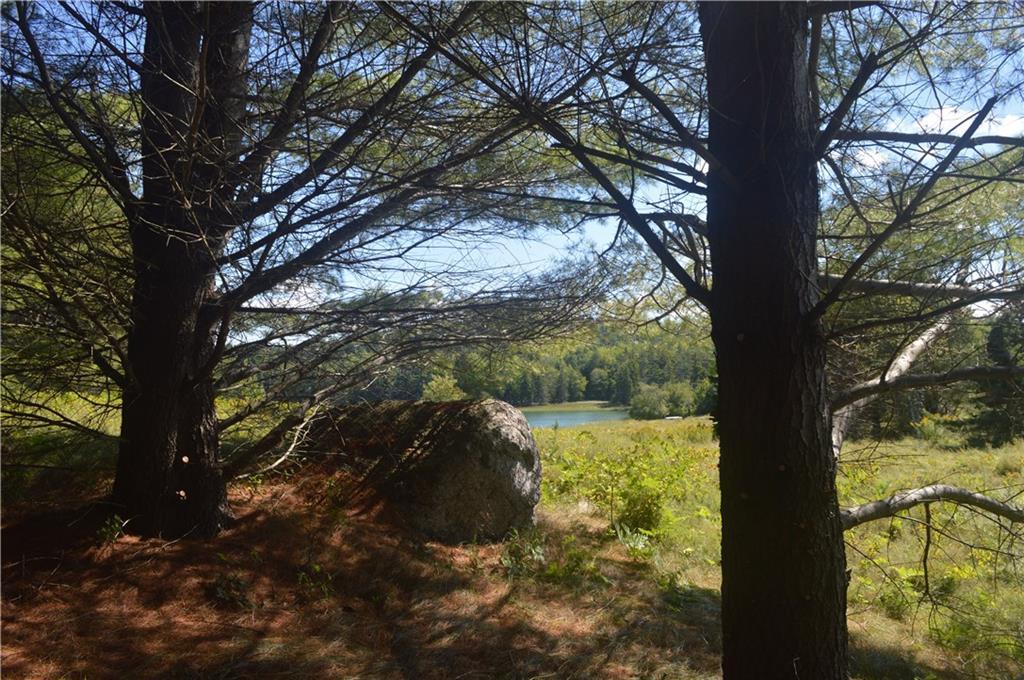 Lot 66 Gray Farm Rd Mount Mount Desert, ME 04660 - Photo 19 of 25 Photo