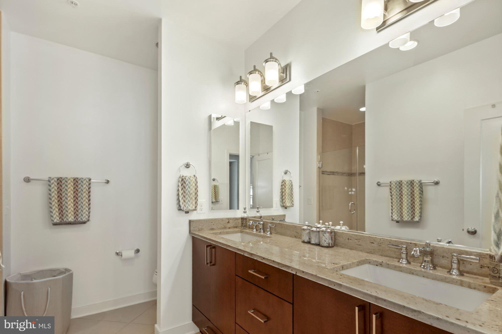 52 Ellsworth Heights Street Silver Spring, MD 20910 - Photo 19 of 41 Primary Bath