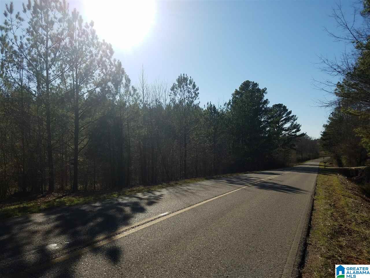 0 Cove Access Road, Unit 7 ACRES Talladega, AL 35160 - Photo 8 of 19