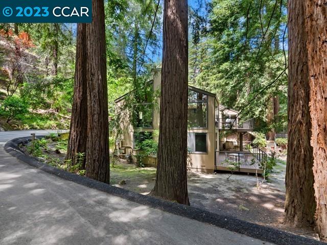 9 Redwood Circle Lafayette, CA 94549 - Photo 35 of 36 a view of a room with a tree in front of it