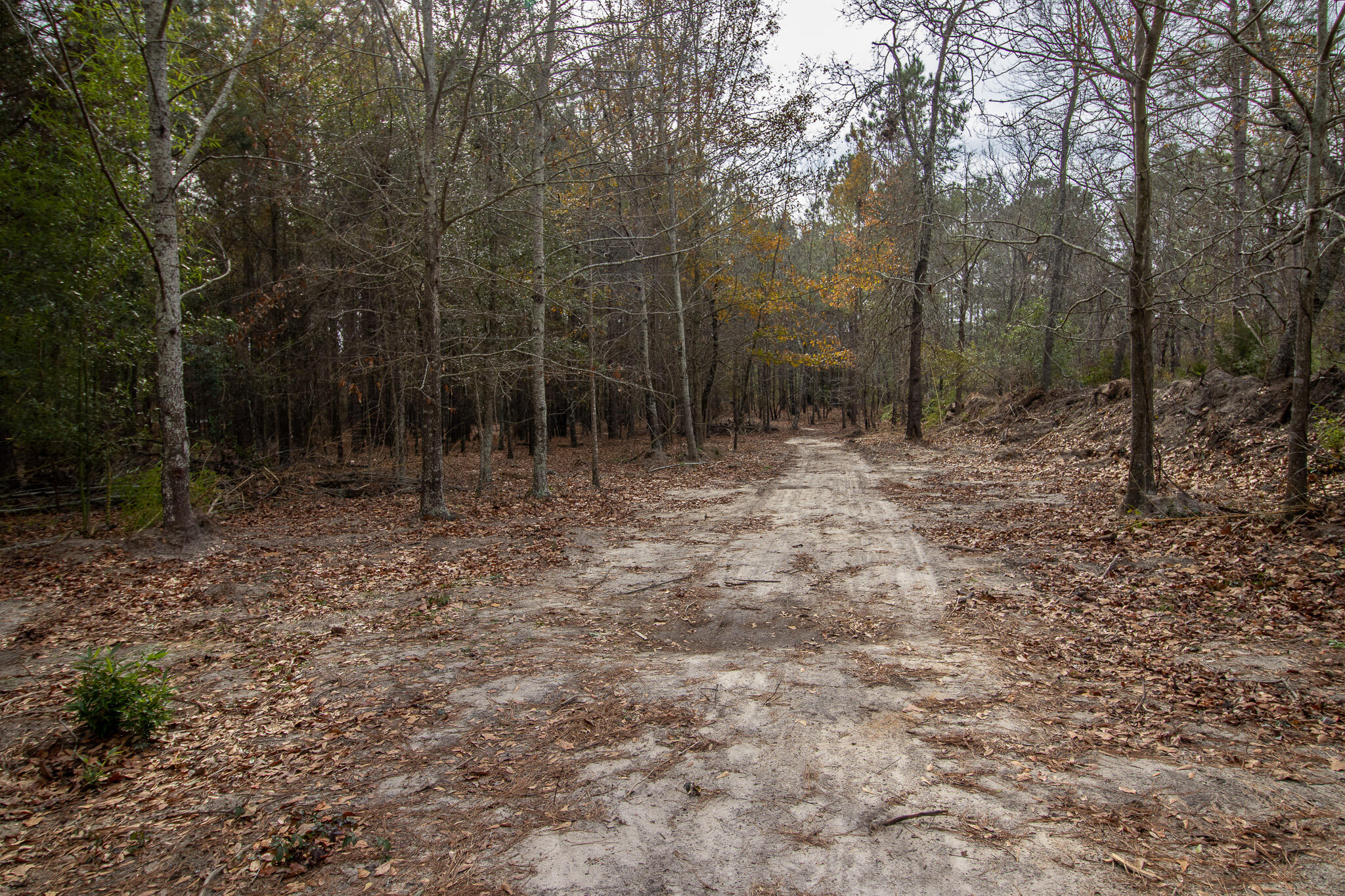 142 Hopewell Road North, SC 29112 - Photo 37 of 112