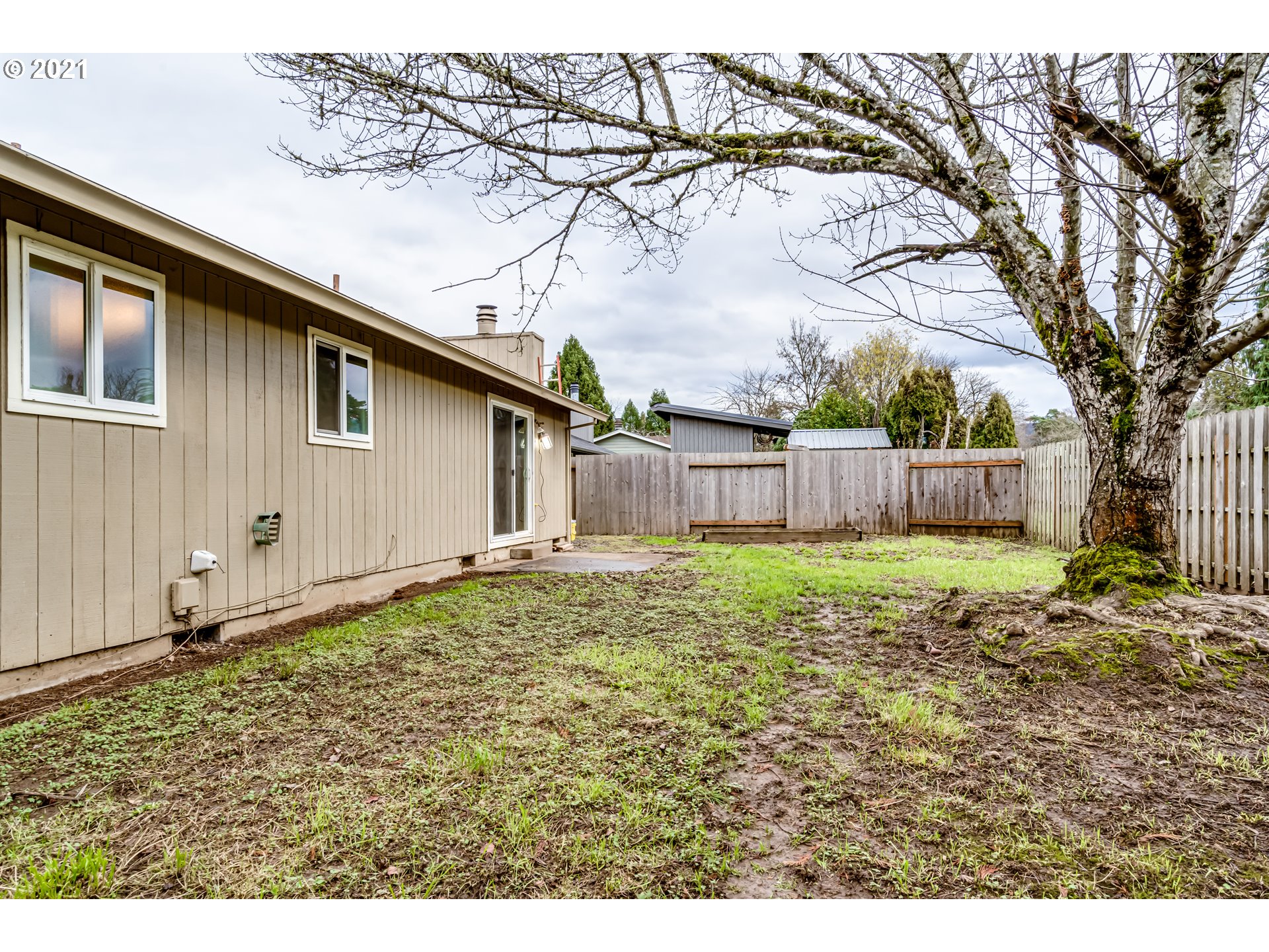 5609 C Street Springfield, OR 97478 - Photo 24 of 26 a backyard of a house with a large tree