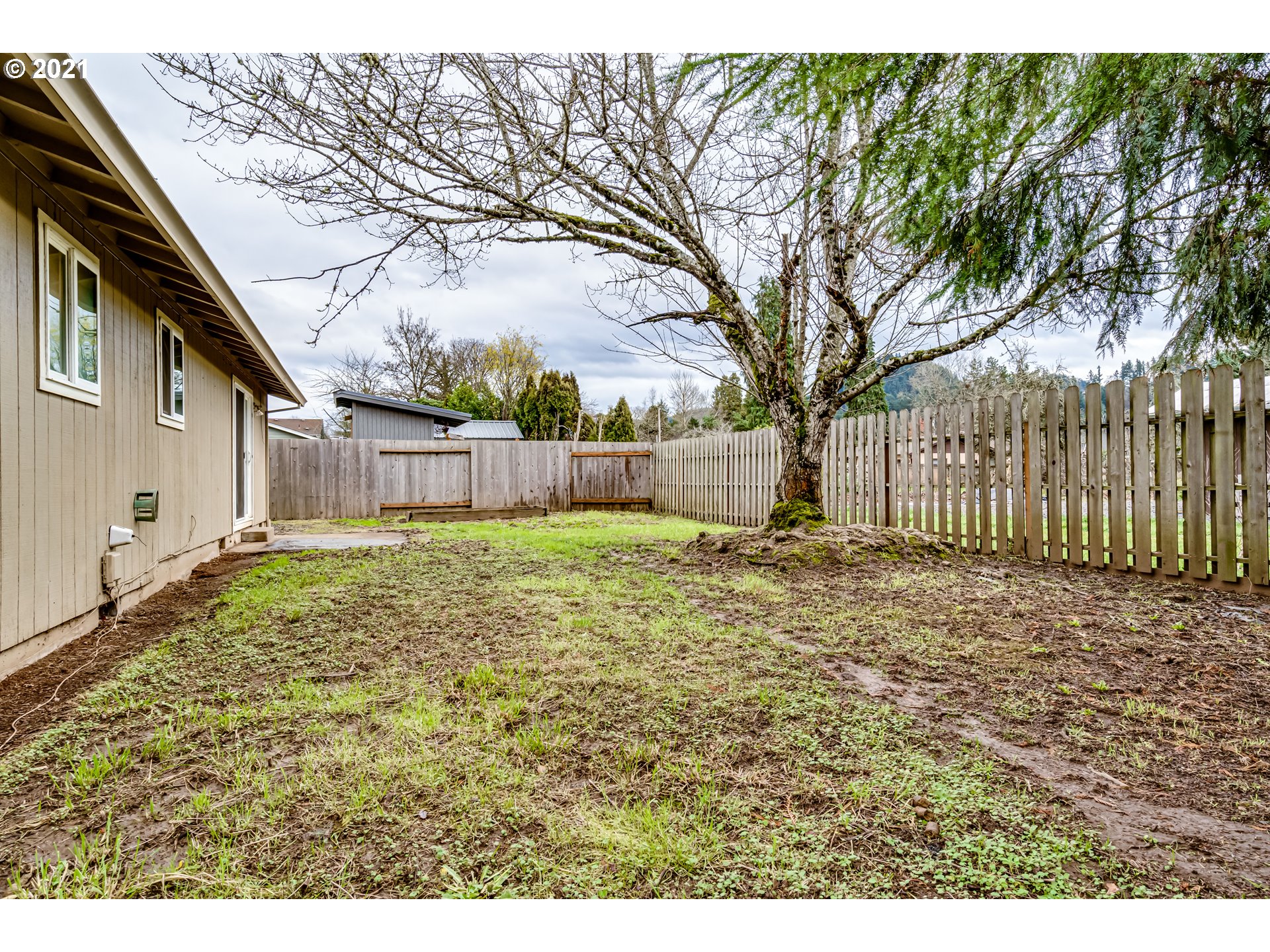 5609 C Street Springfield, OR 97478 - Photo 25 of 26 a view of a yard with a large tree