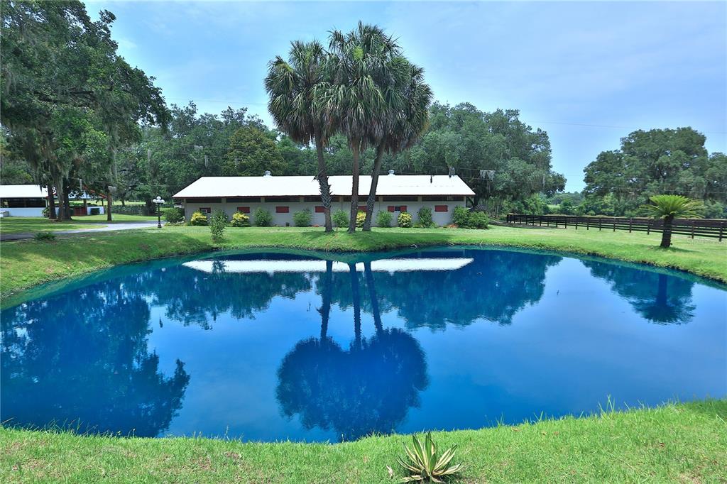 13450 Northwest Gainesville Road Reddick, FL 32686 - Photo 1 of 89 Gallery Image 1
