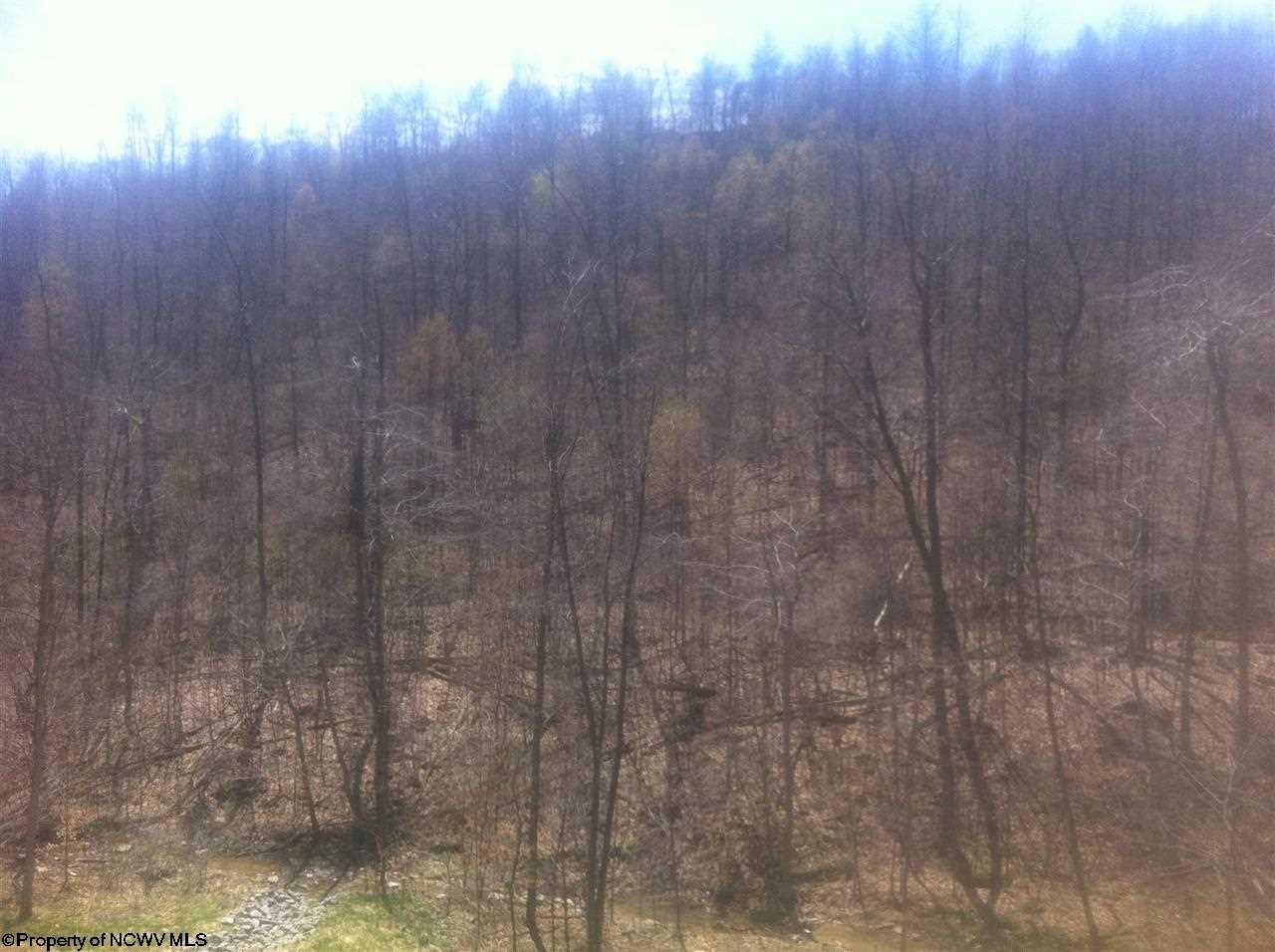 2 Rohr Masontown, WV 26542 - Photo 4 of 4 Gallery Image 4