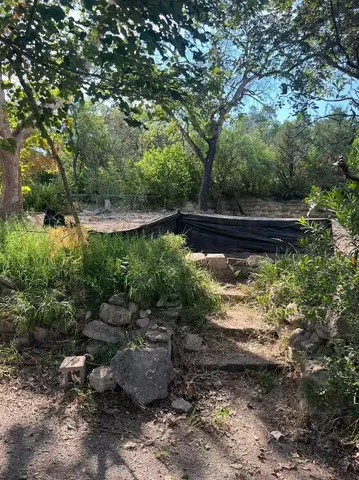 a view of a lake with a bench and trees
