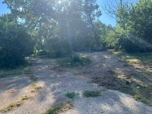 a view of a yard with a tree